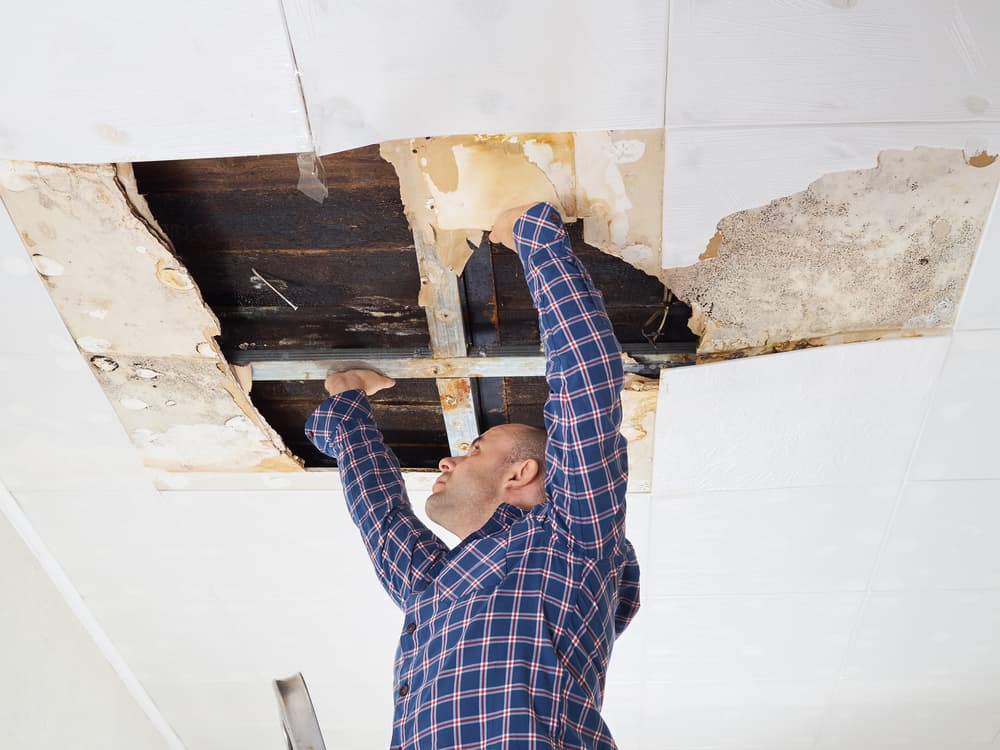Water Damage Restoration Queens County NY